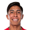 V. Arteaga