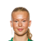 L. van Bemmel