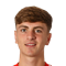 A. Wellens