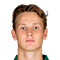 N. de Groot